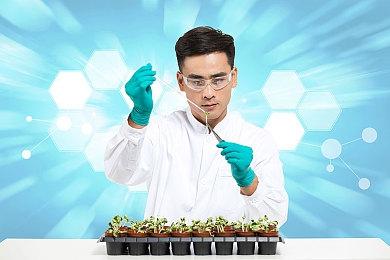 《如龙8》新视频展示美国夏威夷巨大乌贼BOSS